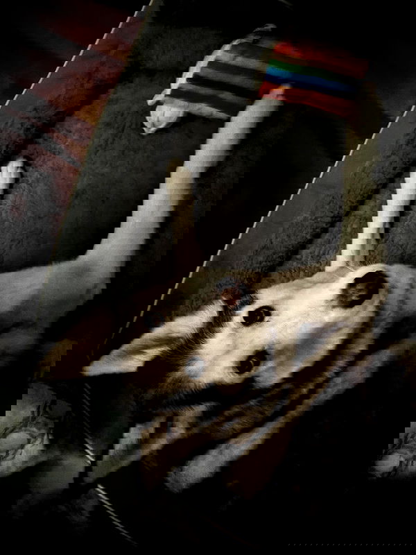 _animechika_ _animechika_ archive image