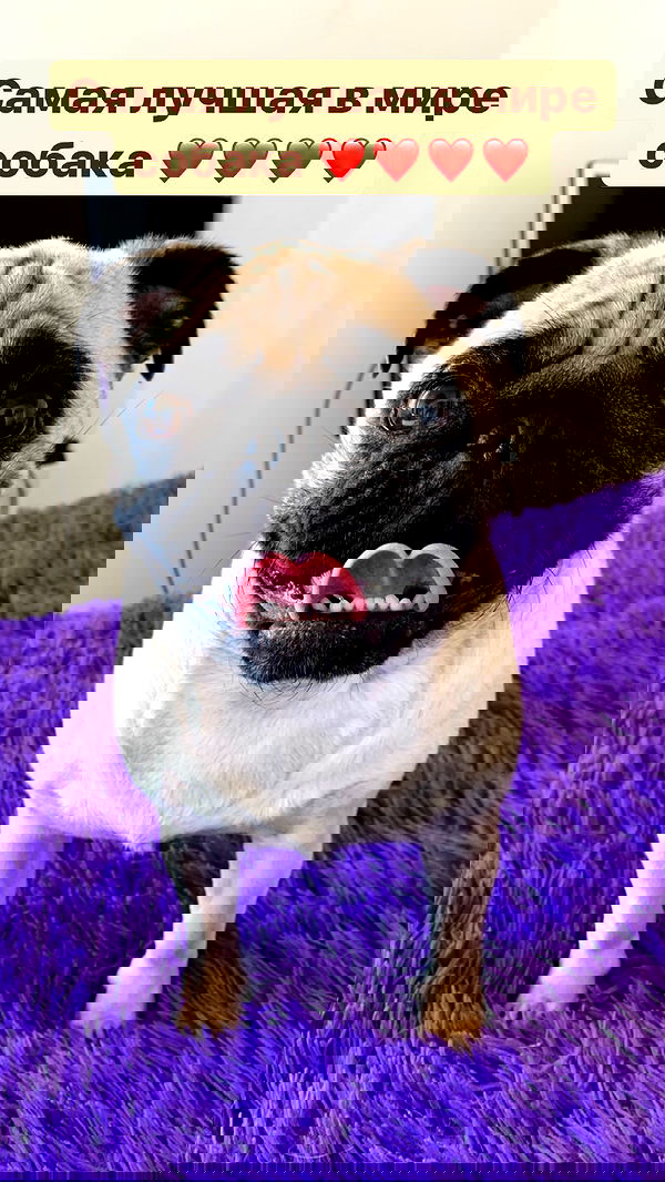 nyityam nyityam archive image