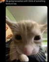 milkiwifey Altpins Profile Picture