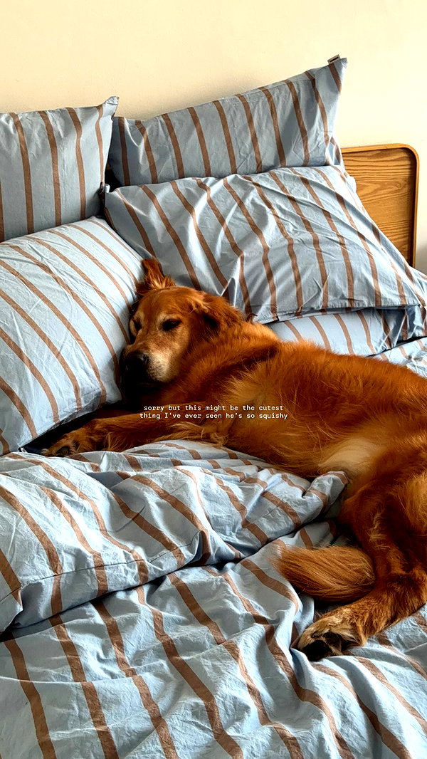 Archived image from @edenharper on Instagram