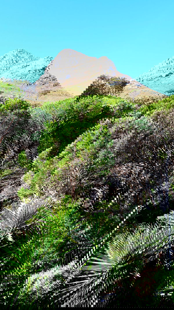 taylor.creeden taylor.creeden archive image