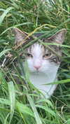 jahia_brown Altpins Profile Picture