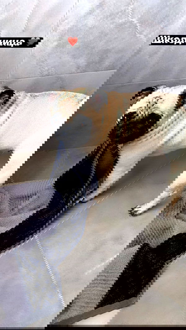 nyityam nyityam archive image