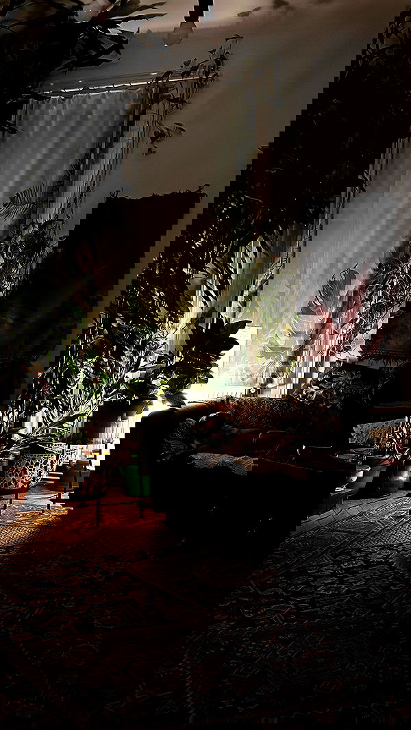 manjolamuriqi manjolamuriqi archive image