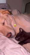 gabbyepstein Altpins Profile Picture