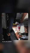 _._dianush._ Altpins Profile Picture