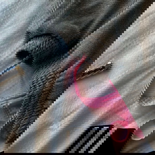 pollcherri pollcherri archive image