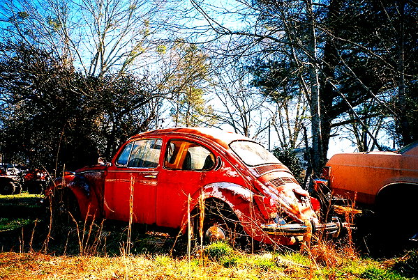 bugz4brainz instagram image archive image