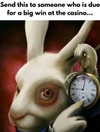 ellaexplicit_ Altpins Profile Picture