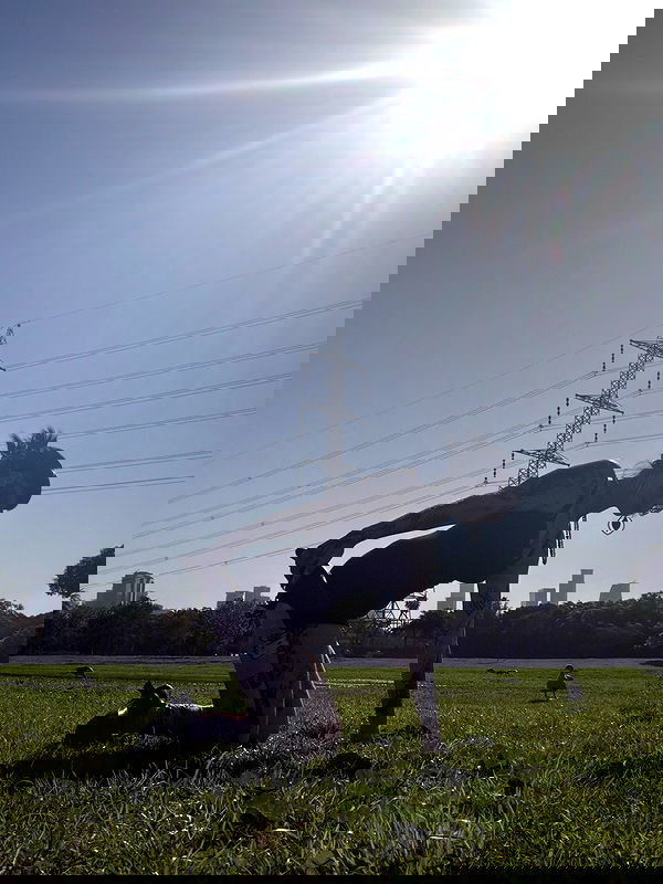 strawberryshanz strawberryshanz archive image