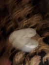 0nlygrlinthewrld Altpins Profile Picture