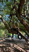 kels.cathrine Altpins Profile Picture