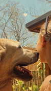 pia__kim Altpins Profile Picture