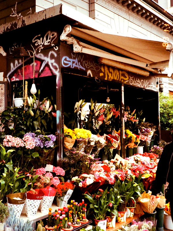 shirelokavi instagram image archive image