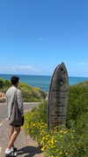 noa.danino_ Altpins Profile Picture