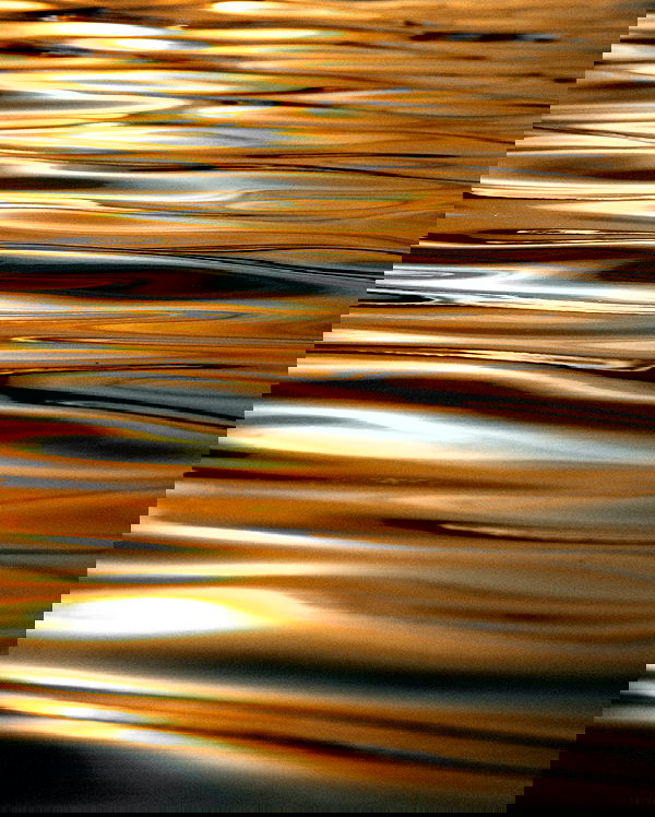 taylor.creeden taylor.creeden archive image