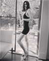 alexandradaddario Altpins Profile Picture