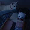 kriskaik Altpins Profile Picture