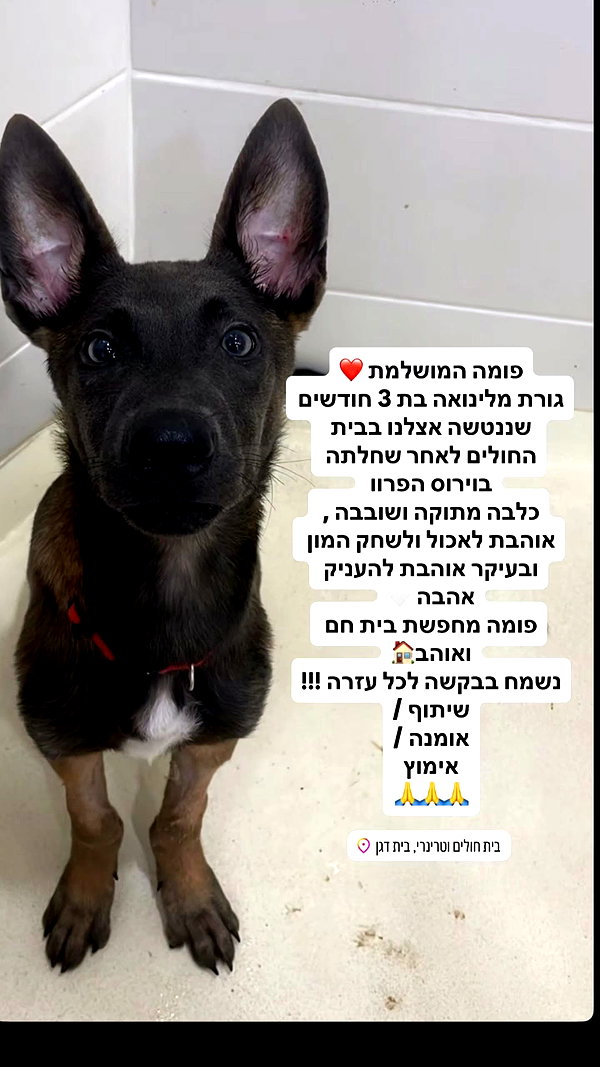 tinapavlov.sky instagram image archive image