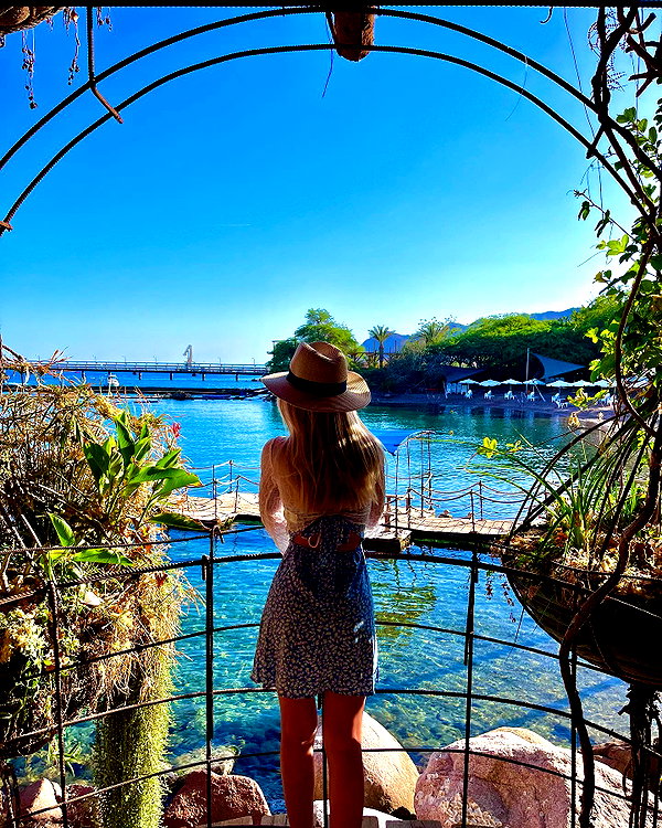 nikolpeleg instagram image archive image