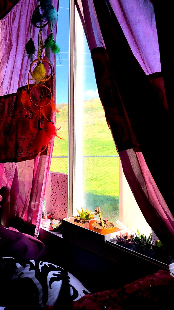 haileylayfield archive image