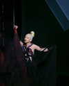 xtina Altpins Profile Picture
