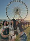 elsarca Altpins Profile Picture