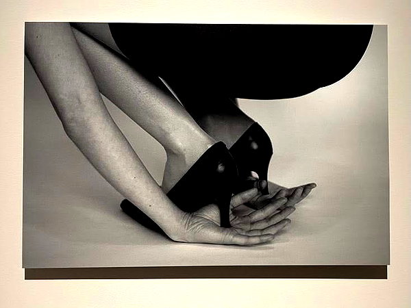 183xei instagram image archive image