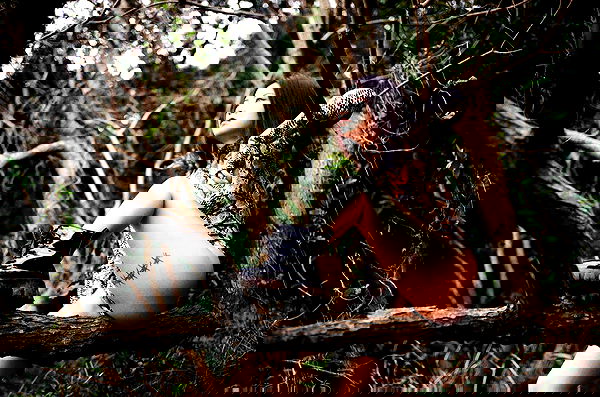 ting851204 ting851204 archive image