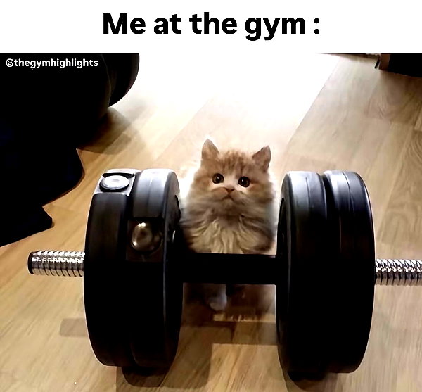 maiden_lifts instagram image archive image