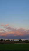 nicakitty Altpins Profile Picture