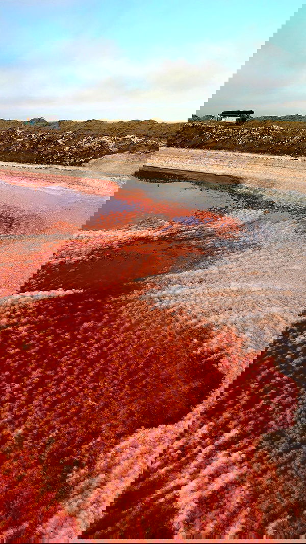 taylor.creeden taylor.creeden archive image