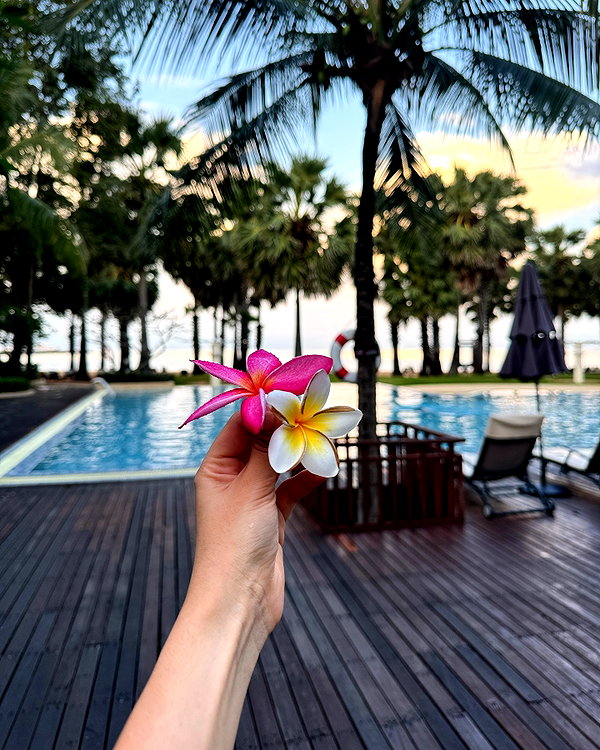 owlydiaa instagram image archive image