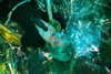 muze Altpins Profile Picture