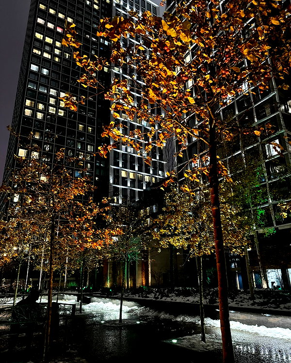 amatveyko instagram image archive image