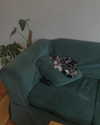 jahia_brown Altpins Profile Picture