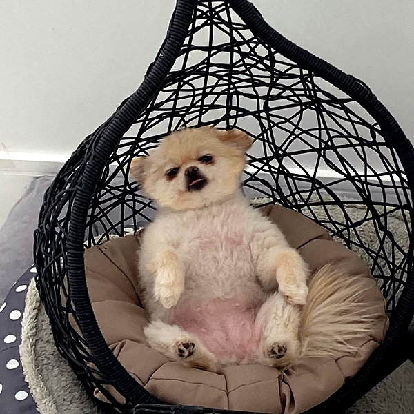 sssniperwolf instagram image archive image