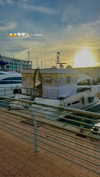 may__hillel Altpins Profile Picture