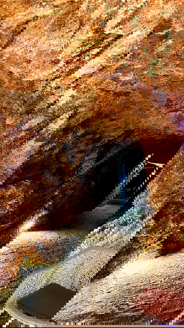 taylor.creeden taylor.creeden archive image