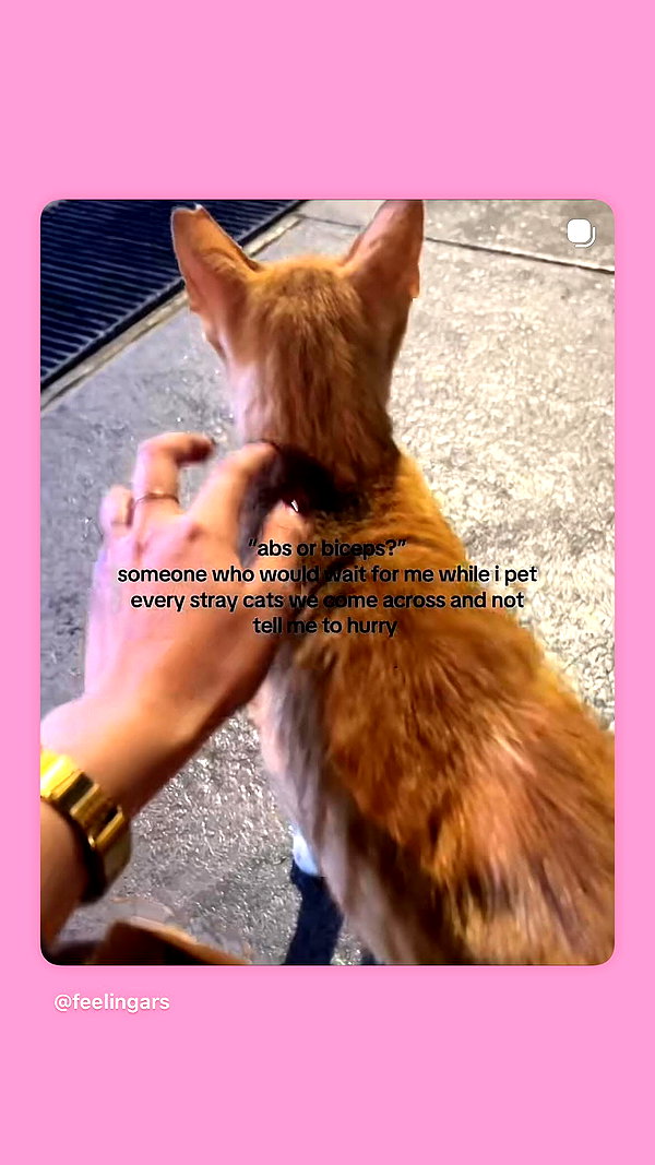 Archived image from @notchicore on Instagram