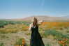 lilireinhart Altpins Profile Picture