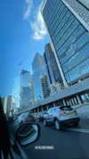 mishel_d_ Altpins Profile Picture
