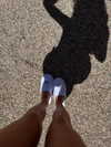 kyliejenner Altpins Profile Picture