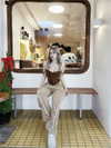 lyhythuedoxinh Altpins Profile Picture