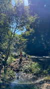 daisy_r_19 Altpins Profile Picture