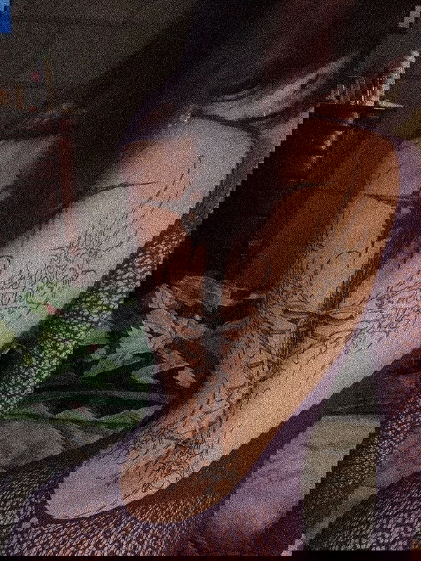 zommmbri zommmbri archive image