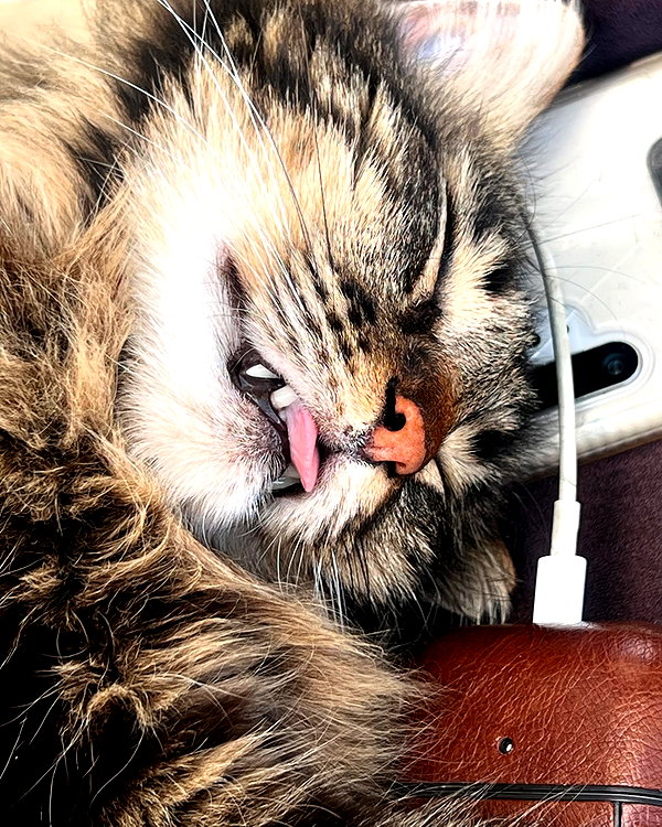 evasela__ instagram image archive image