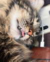 evasela__ Altpins Profile Picture