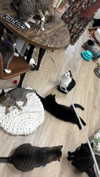 olivia.bolgerr Altpins Profile Picture