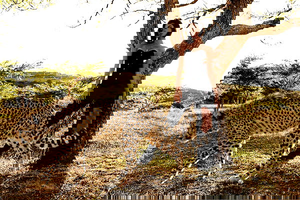 taylor.creeden taylor.creeden archive image